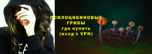 шишки Алексин