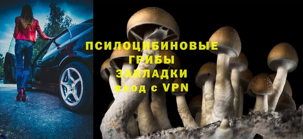 прущий лед Алексеевка