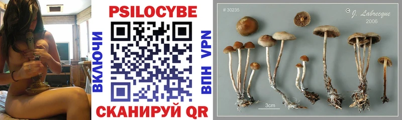 Галлюциногенные грибы MAGIC MUSHROOMS OMG зеркало Цоци-Юрт