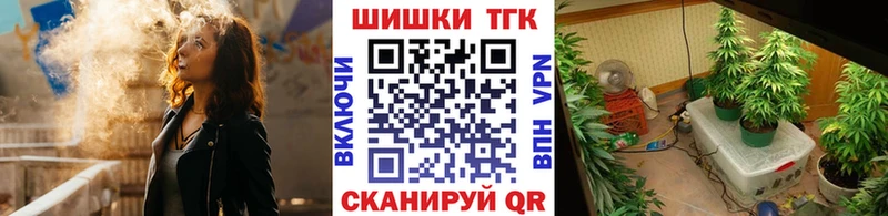 Канабис семена  Цоци-Юрт 
